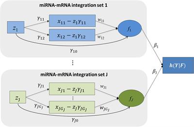 Identifying miRNA-mRNA Integration Set Associated With Survival Time